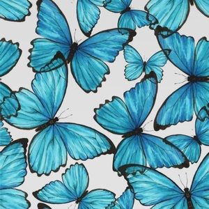 Meet your Posher, Gabby